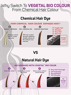 Vegetal Bio Colour -Soft Black 150g.