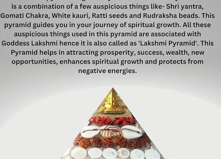 Gomti Chakra Original Shree Yantra Pyramid for Wealth and Prosperity Feng Shui vastu Items for Home for Good Luck Item Positive Energy Size 2.5-3 inch