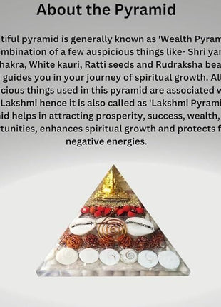 Gomti Chakra Original Shree Yantra Pyramid for Wealth and Prosperity Feng Shui vastu Items for Home for Good Luck Item Positive Energy Size 2.5-3 inch