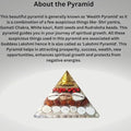 Gomti Chakra Original Shree Yantra Pyramid for Wealth and Prosperity Feng Shui vastu Items for Home for Good Luck Item Positive Energy Size 2.5-3 inch