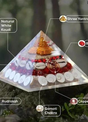 Gomti Chakra Original Shree Yantra Pyramid for Wealth and Prosperity Feng Shui vastu Items for Home for Good Luck Item Positive Energy Size 2.5-3 inch