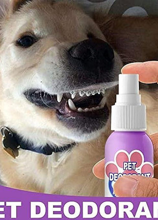 Oral Spray For Dogs & Cats