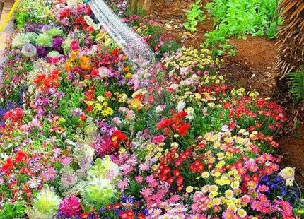 Buy Varieties of Flower Seeds (Pack of 100) And Get Plant Growth Supplement Free