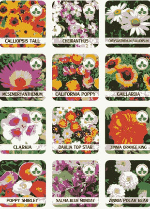 Buy Varieties of Flower Seeds (Pack of 100) And Get Plant Growth Supplement Free