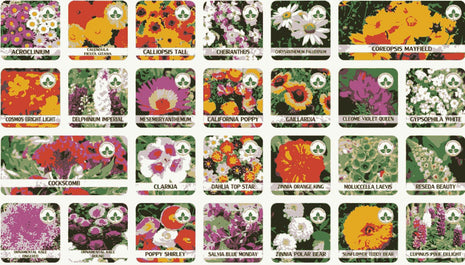 Buy Varieties of Flower Seeds (Pack of 100) And Get Plant Growth Supplement Free