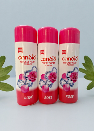 Candid prickly heat powder rose 120gm Pack of  3 |glenmark