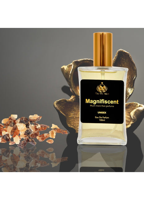 Europa Magnifiscent 100ml Perfume Spray For Men And Women